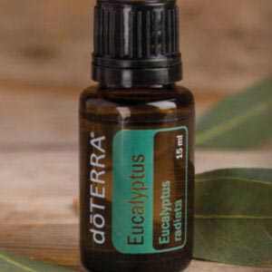 doTERRA Ätherisches Öl Eukalyptusöl Eucalyptus-Öl